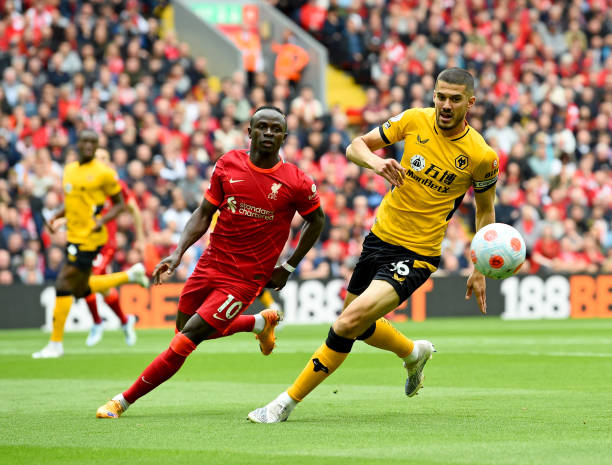 深入的预测 深入的预测